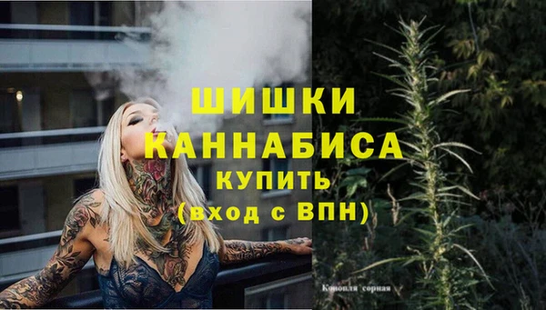 сатива Абаза