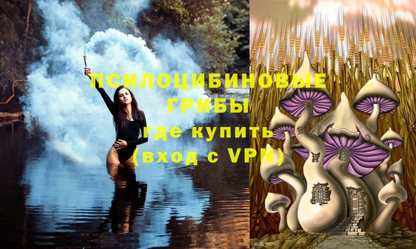 соль курить ск Алзамай