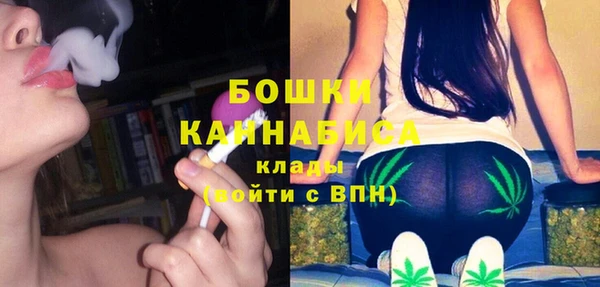 сатива Абаза