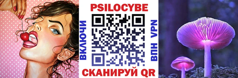 Псилоцибиновые грибы Cubensis  магазин  наркотиков  Дубовка 
