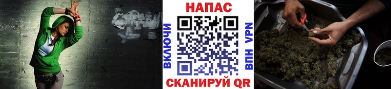Бошки марихуана Ganja  наркота  ссылка на мегу ТОР  Дубовка 